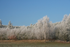 Winterlandschaft Winterlandschaften Romantisch